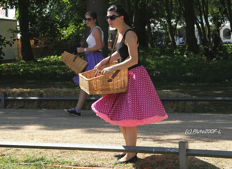 comp_IMG_7585.jpg