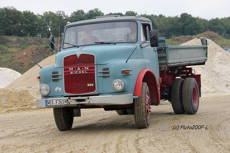comp_IMG_7216.jpg