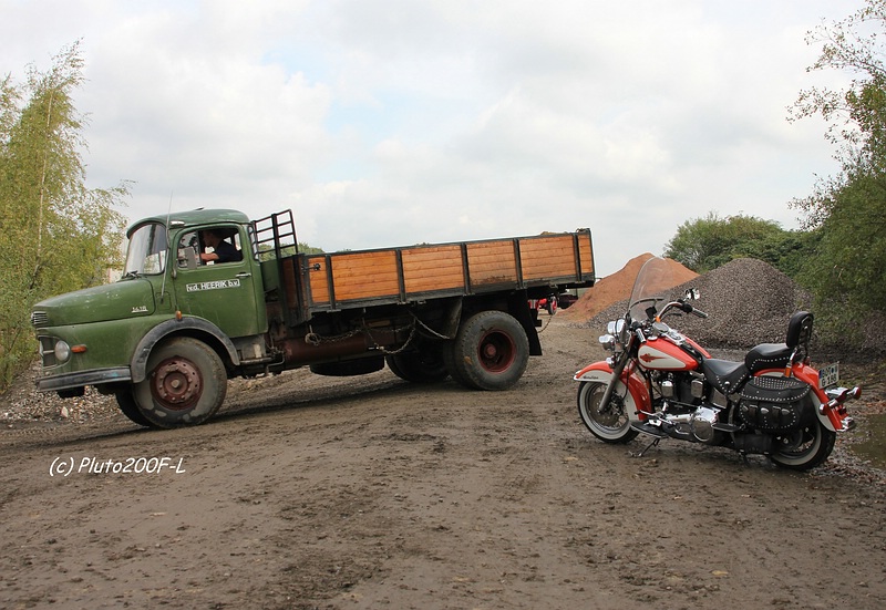 comp_IMG_7047.jpg