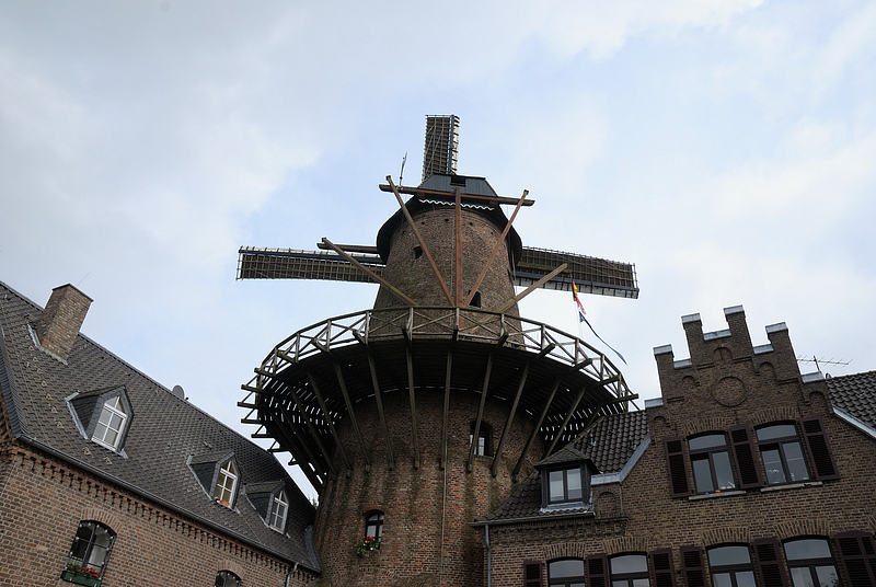 DSC_4201.jpg