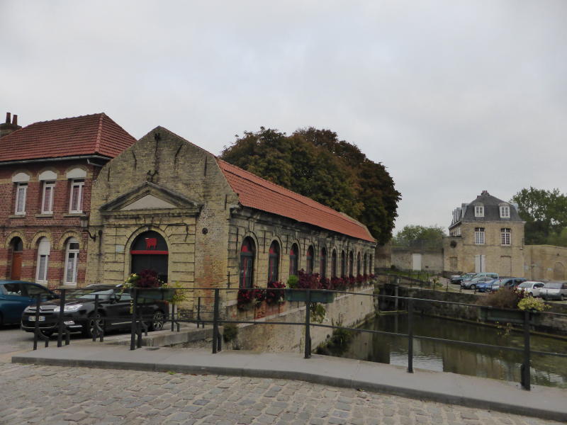 P1030241_1.jpg