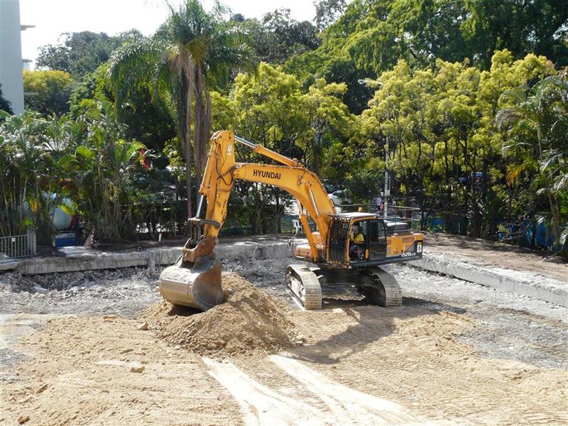 P1250047 (Medium) (Custom).jpg