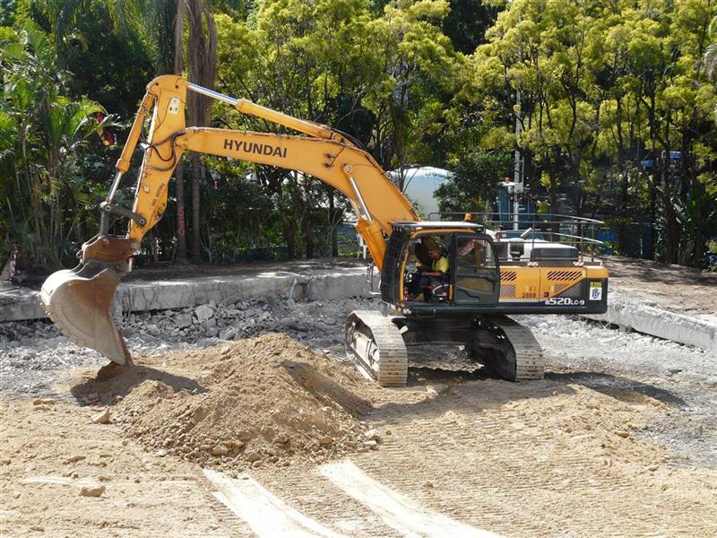 P1250048 (Medium) (Custom).jpg