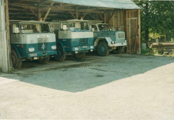 SCHINKOFLOTTE_1970_IN_TRAUN.jpg