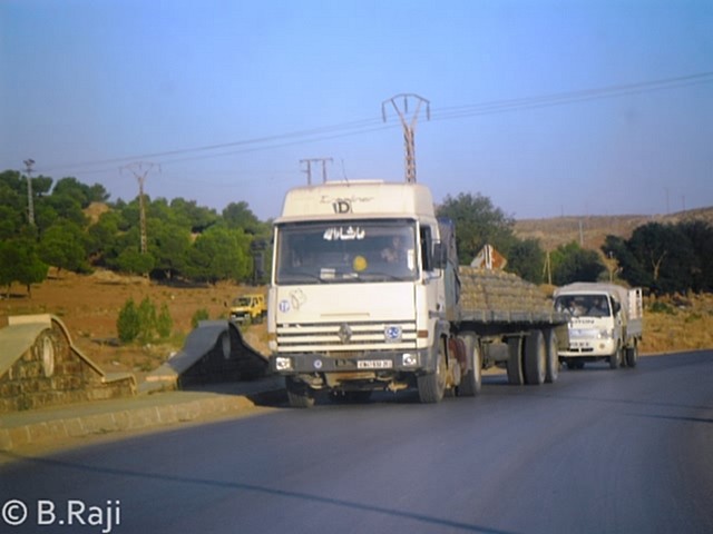 SAM_5245.jpg