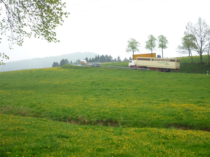 P1100516 (Medium).jpg