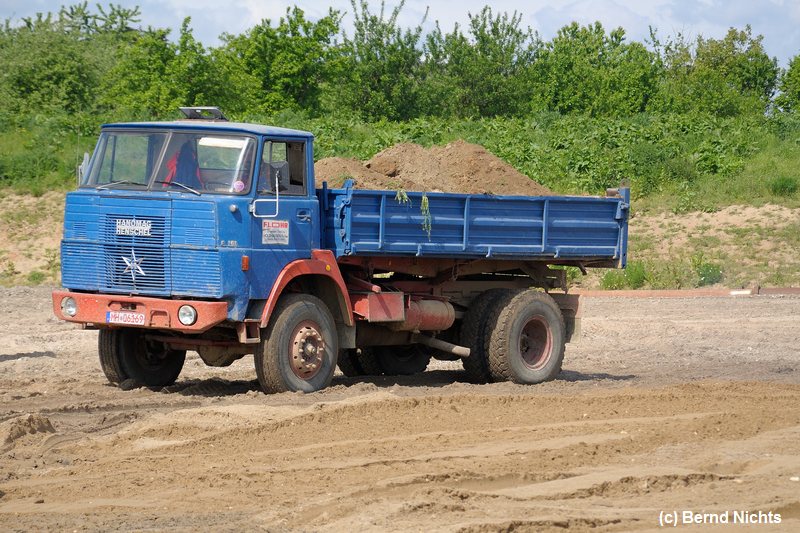 Wesel Bislich 2013 _275.jpg